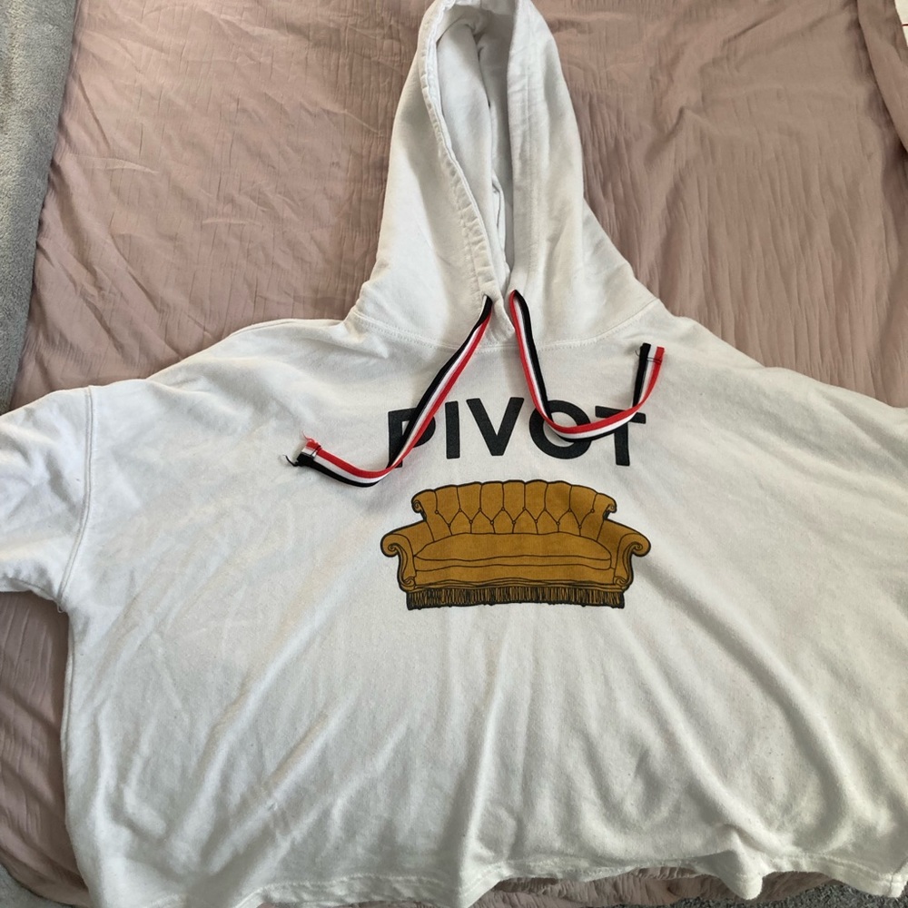 Pivot friends hoodie
